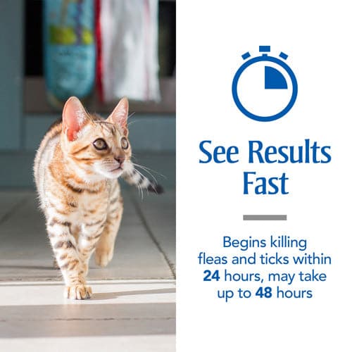 PetArmor Plus Flea and Tick Treatment for Cats Over 1.5 Pounds SpadezStore