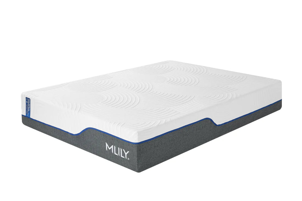 MLILY WellFlex 1.0 Firm Mattress SpadezStore