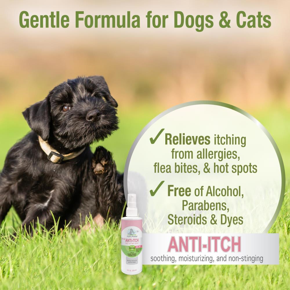 Four Paws Pet Aid Medicated Anti-Itch Spray SpadezStore