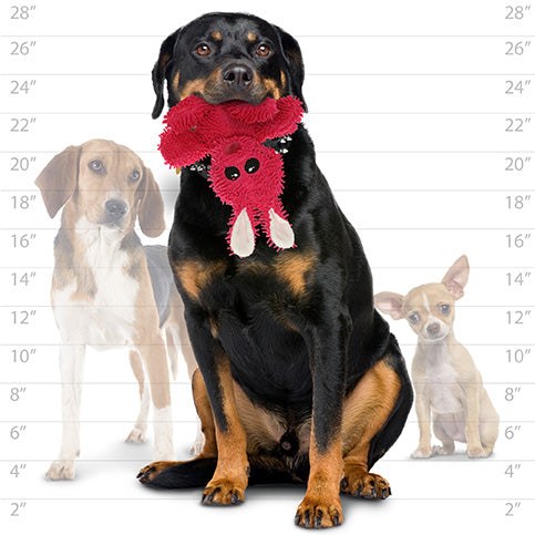 Mighty Microfiber Ball - Rabbit SpadezStore