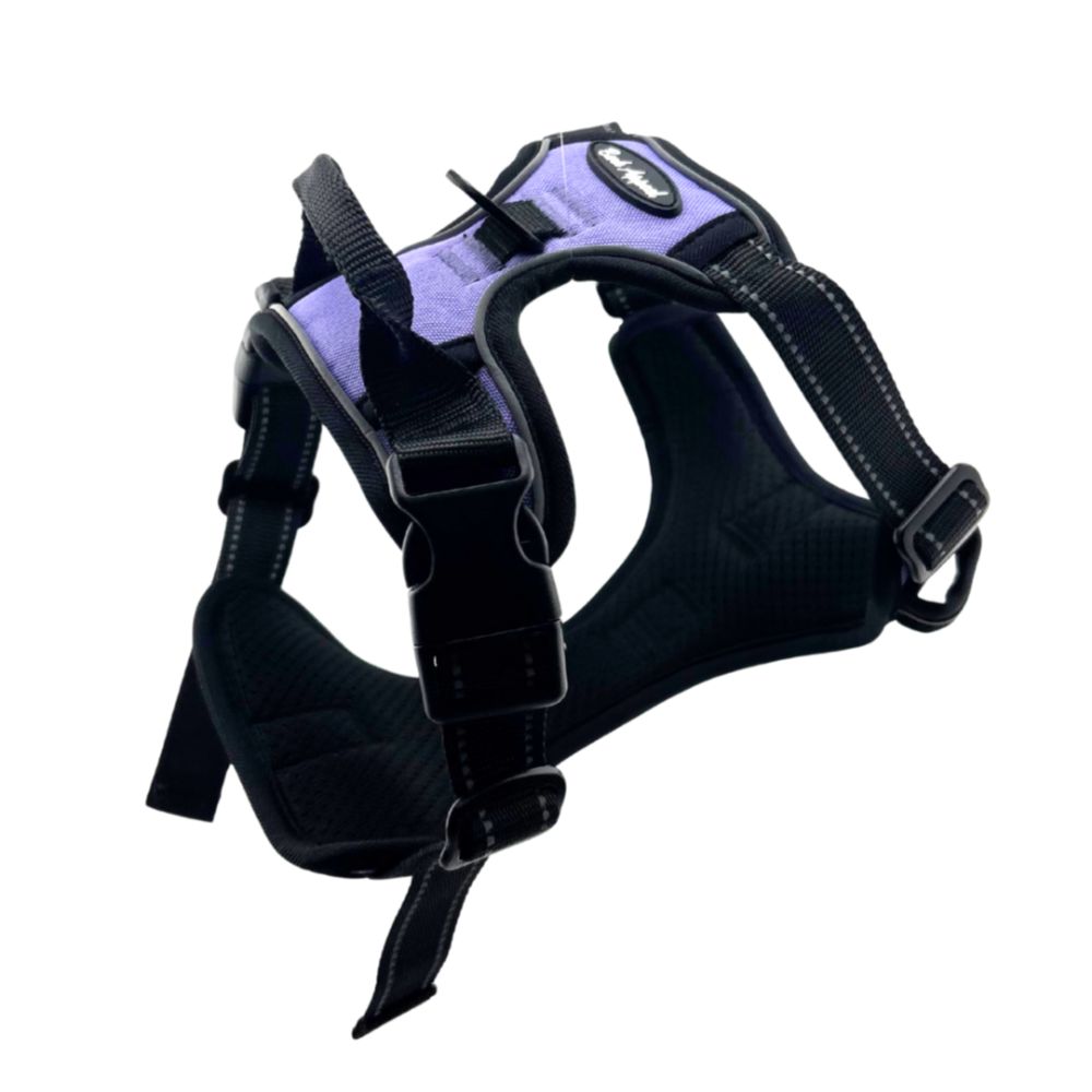 Bark Appeal Reflective Control Harness