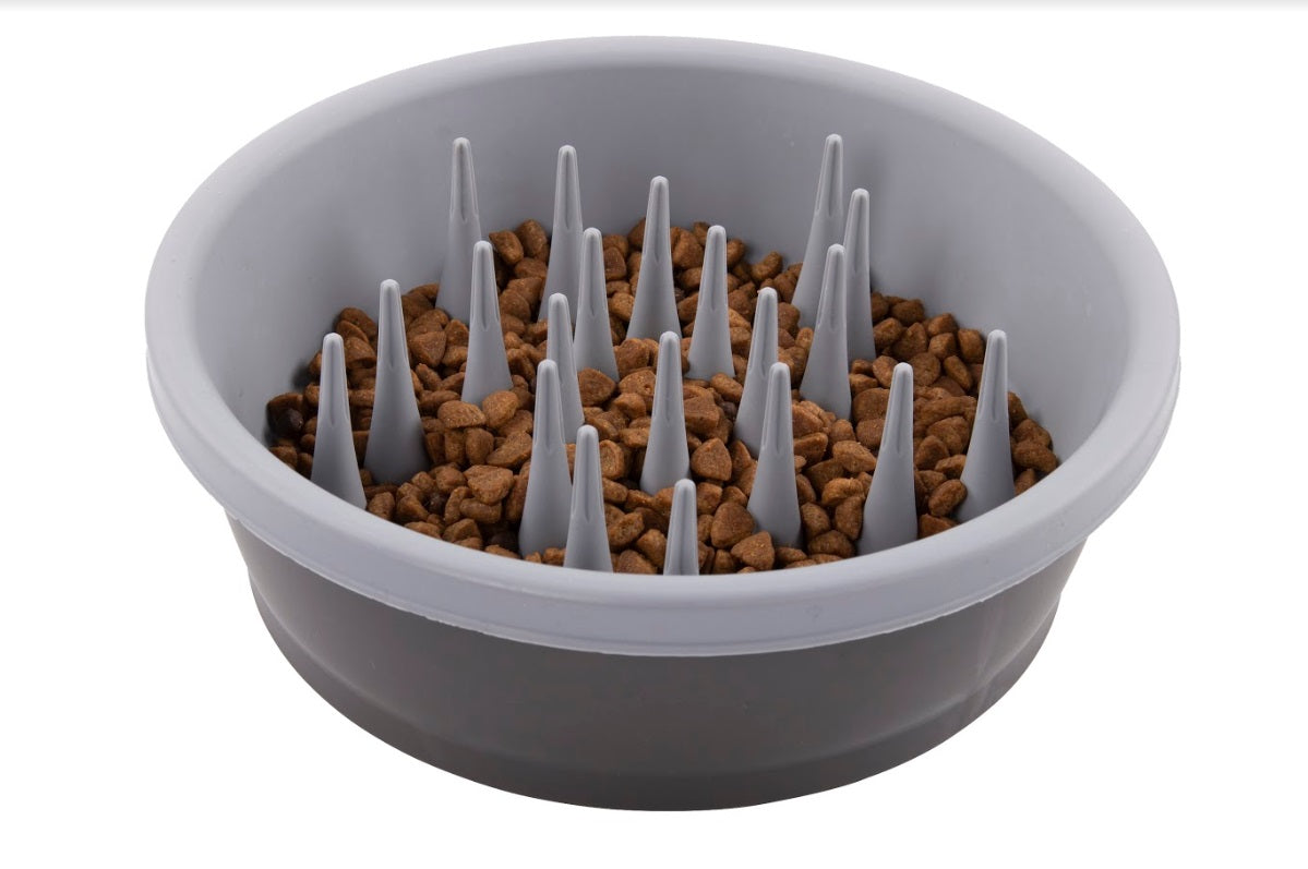 Slow Feeder Bowl by Dexas SpadezStore