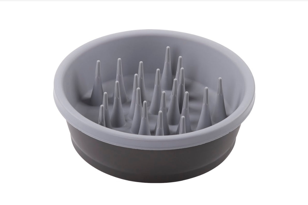 Slow Feeder Bowl by Dexas SpadezStore