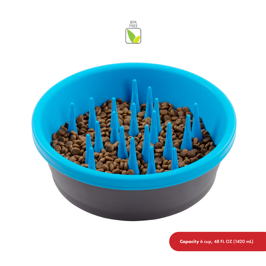 Slow Feeder Bowl by Dexas SpadezStore