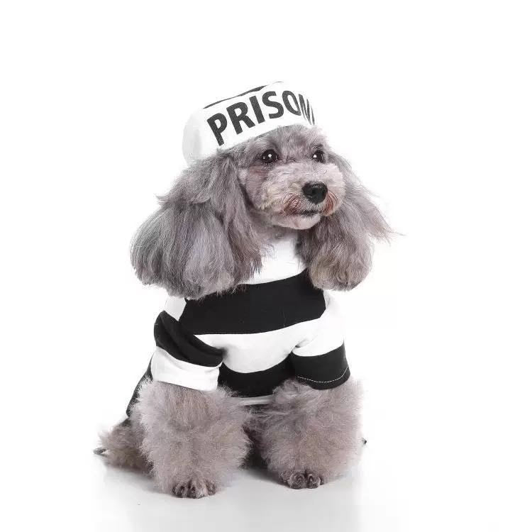 Pet Life Striped Retro Inmate Prisoner Pet Costume SpadezStore