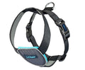 CarSafe Dog Travel Harness Black SpadezStore