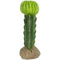 Komodo Moon Cactus Reptile Decor SpadezStore