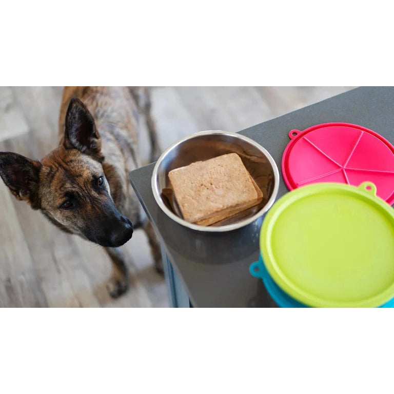 Messy Mutts Dog Bowl and Lid Set 6 Cup 6 Pack SpadezStore
