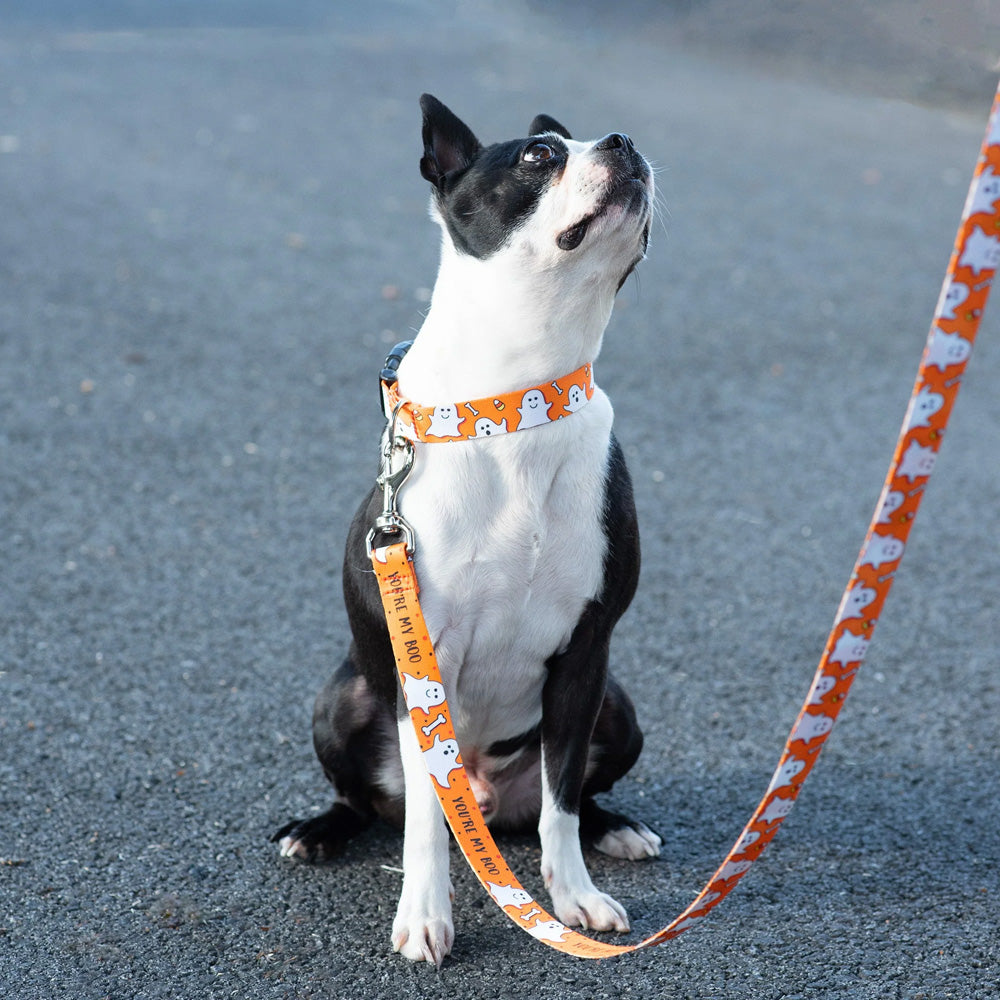 Up Country You're My Boo Option B Ghost Dog Collar SpadezStore