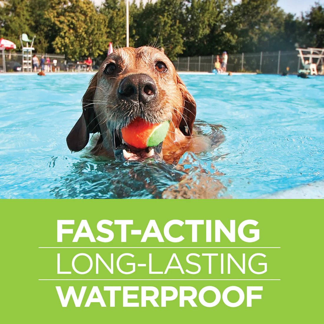 Vetality Firstect Plus for Dogs SpadezStore