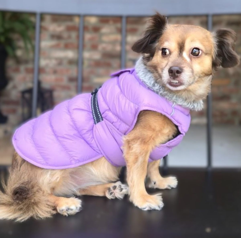 Doggie Design Alpine Extreme Weather Puffer Coat - Soft Plum SpadezStore