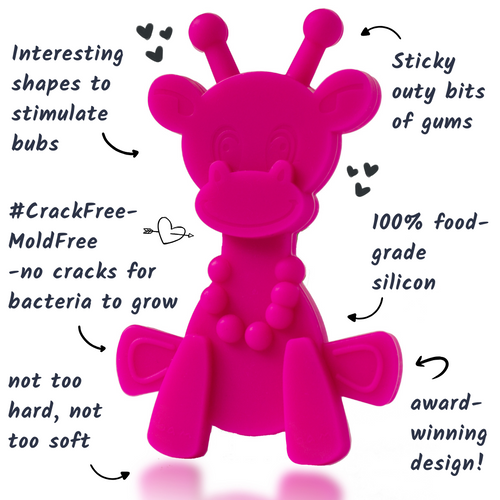 Little bamBAM Baby Teething Toy - Magenta SpadezStore