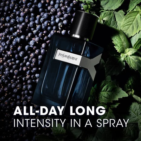 Yves Saint Laurent Y Intense Cologne for Men
