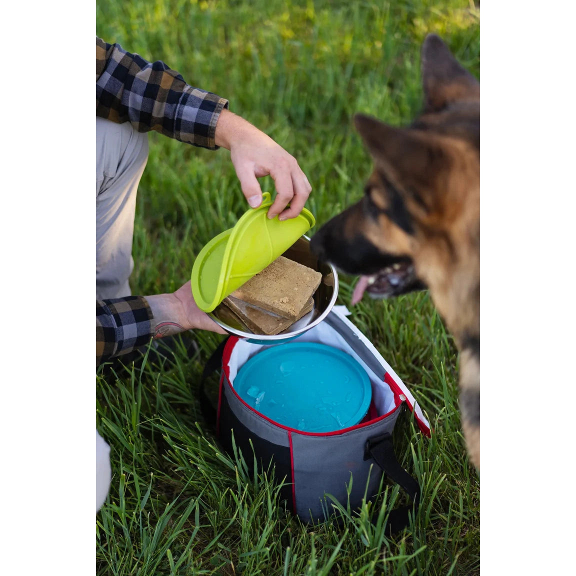 Messy Mutts Dog Bowl and Lid Set 6 Cup 6 Pack SpadezStore