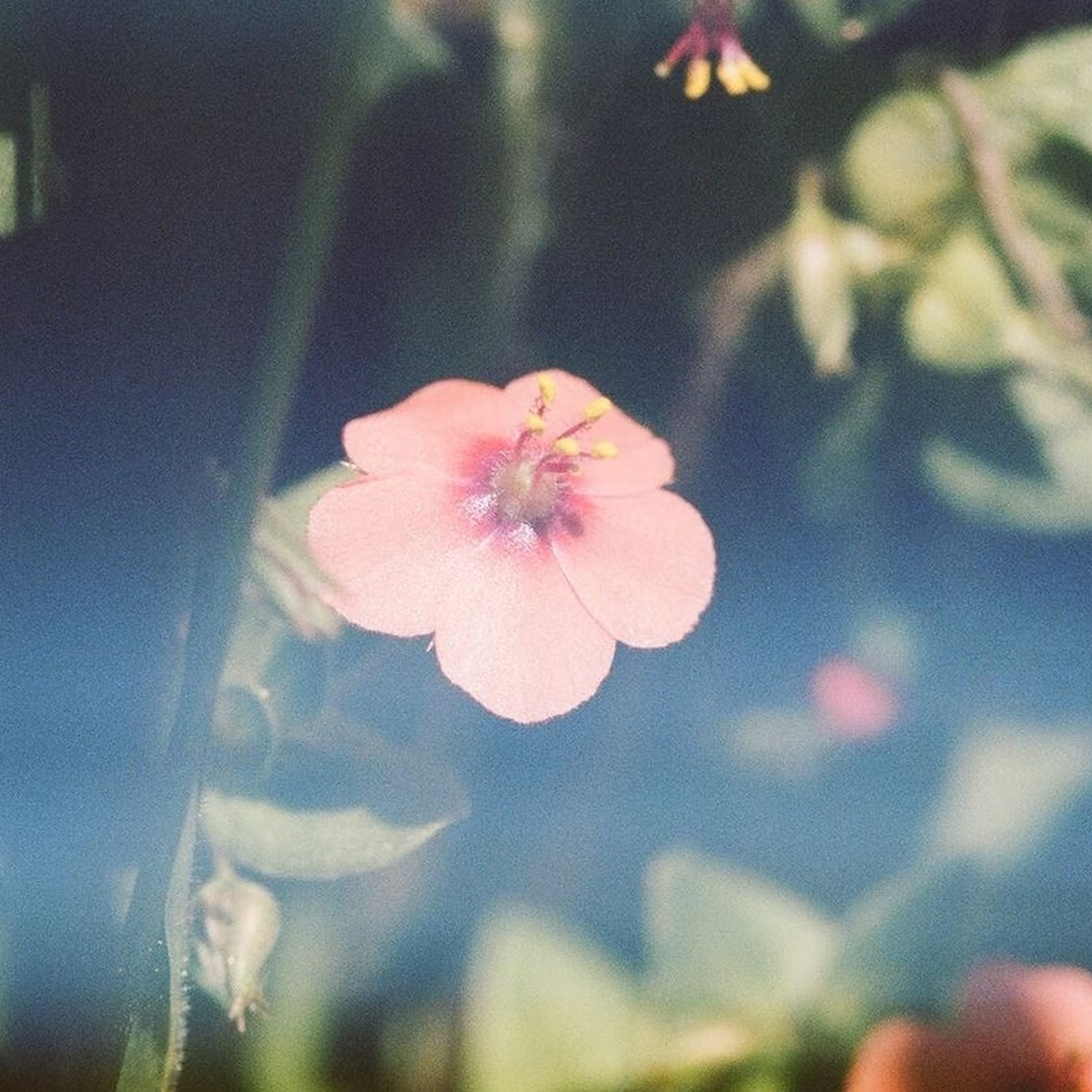 Juniper Ridge Adobe Ceramic Essential Oil Diffuser SpadezStore