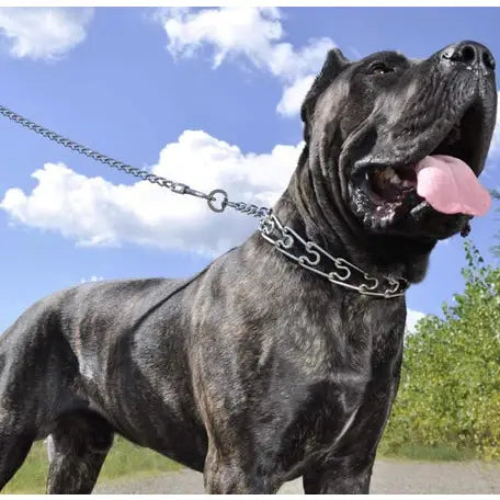 Titan Pinch Training Collar for Dogs SpadezStore