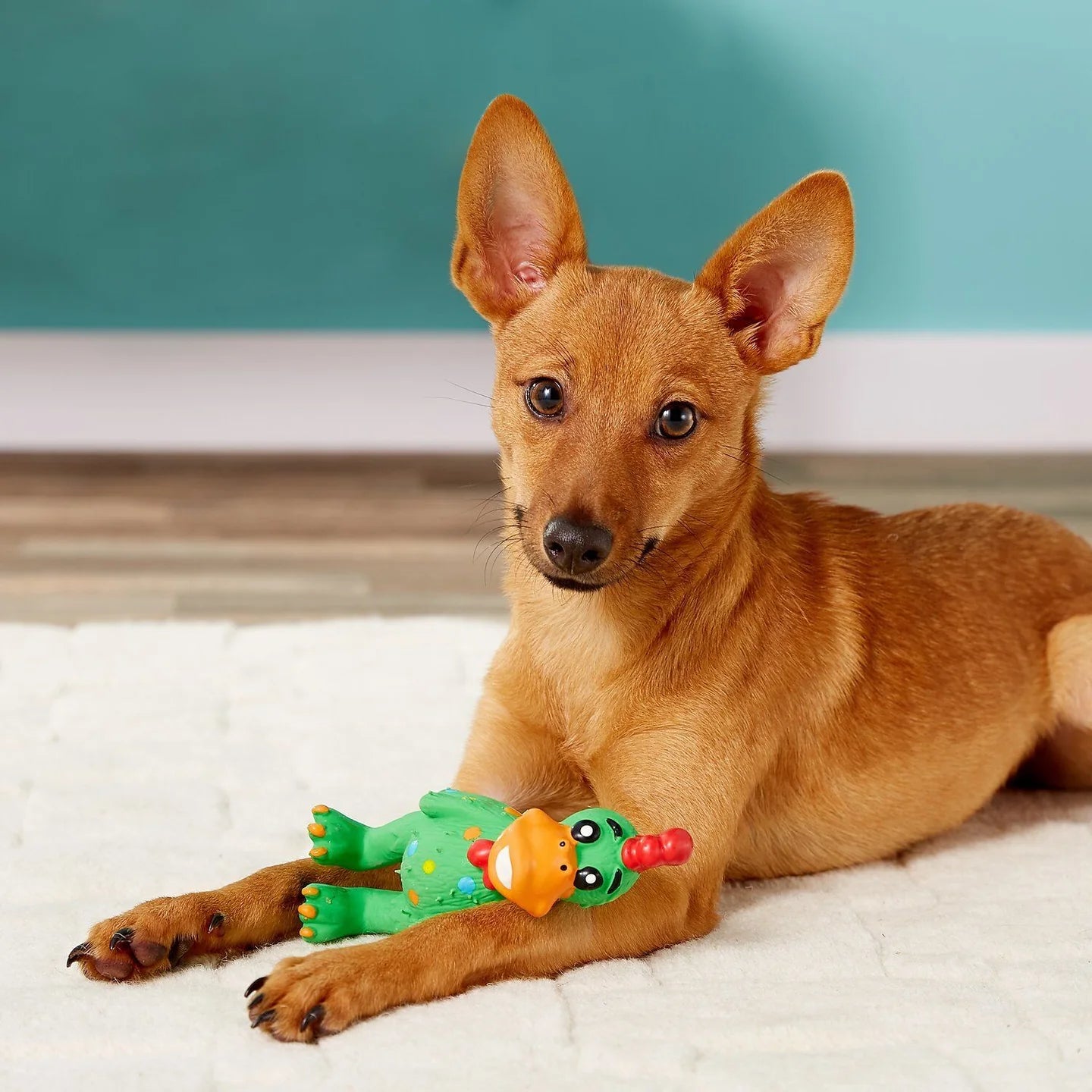 Multipet Globkens Chicken Dog Toy Assorted SpadezStore