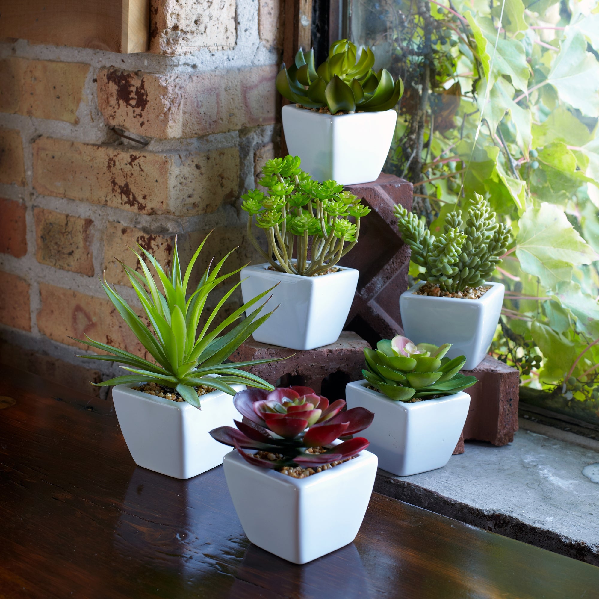 Assorted Succulent in Traditional White Pot Set of 6 SpadezStore