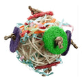 A & E Cages Nibbles Circle Chaser Small Animal Toy SpadezStore