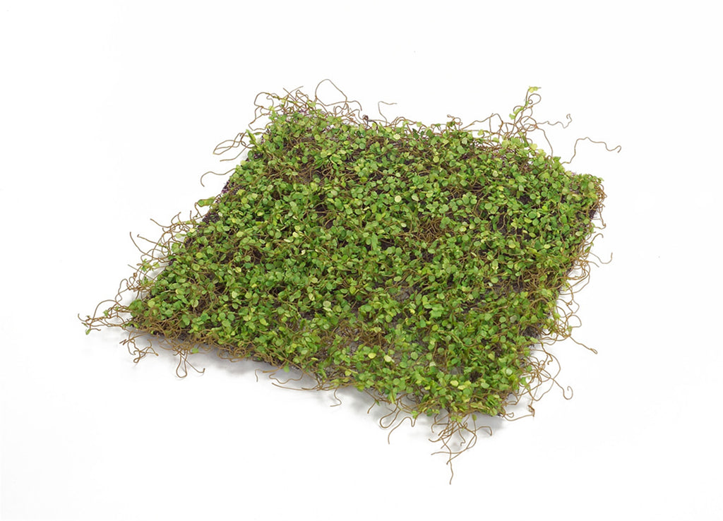 Lifelike Moss Display Mat Set of 12 SpadezStore