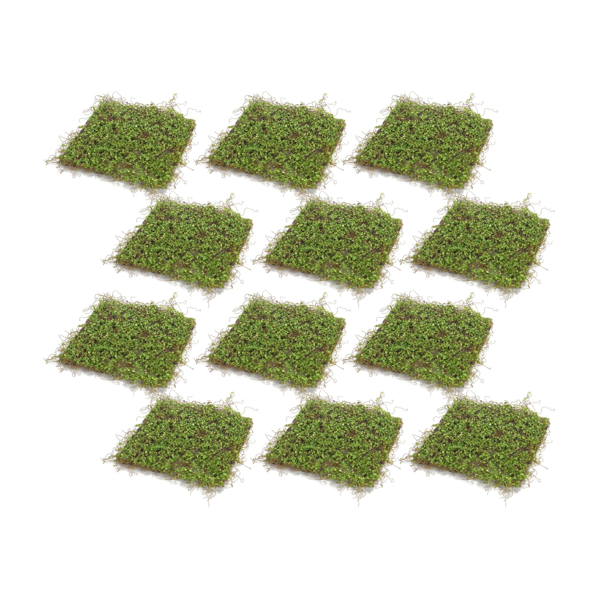 Lifelike Moss Display Mat Set of 12 SpadezStore