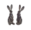 Brown Long Ear Rabbit Statue Set of 2 SpadezStore