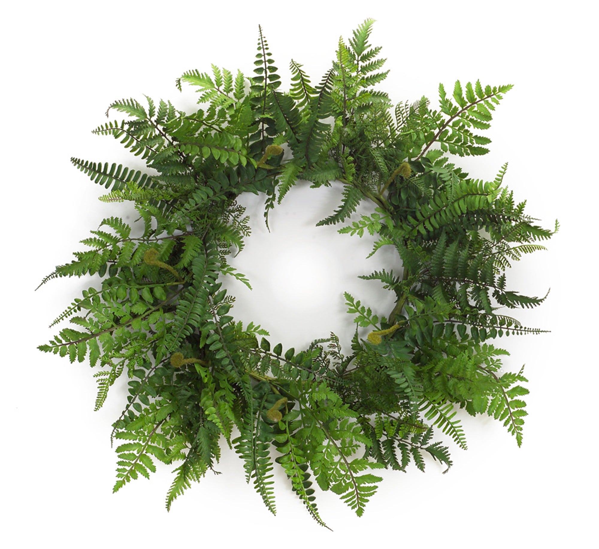 Mixed Fern Grapevine Wreath 24"D SpadezStore