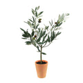 Potted Olive Tree Topiary 22"H SpadezStore