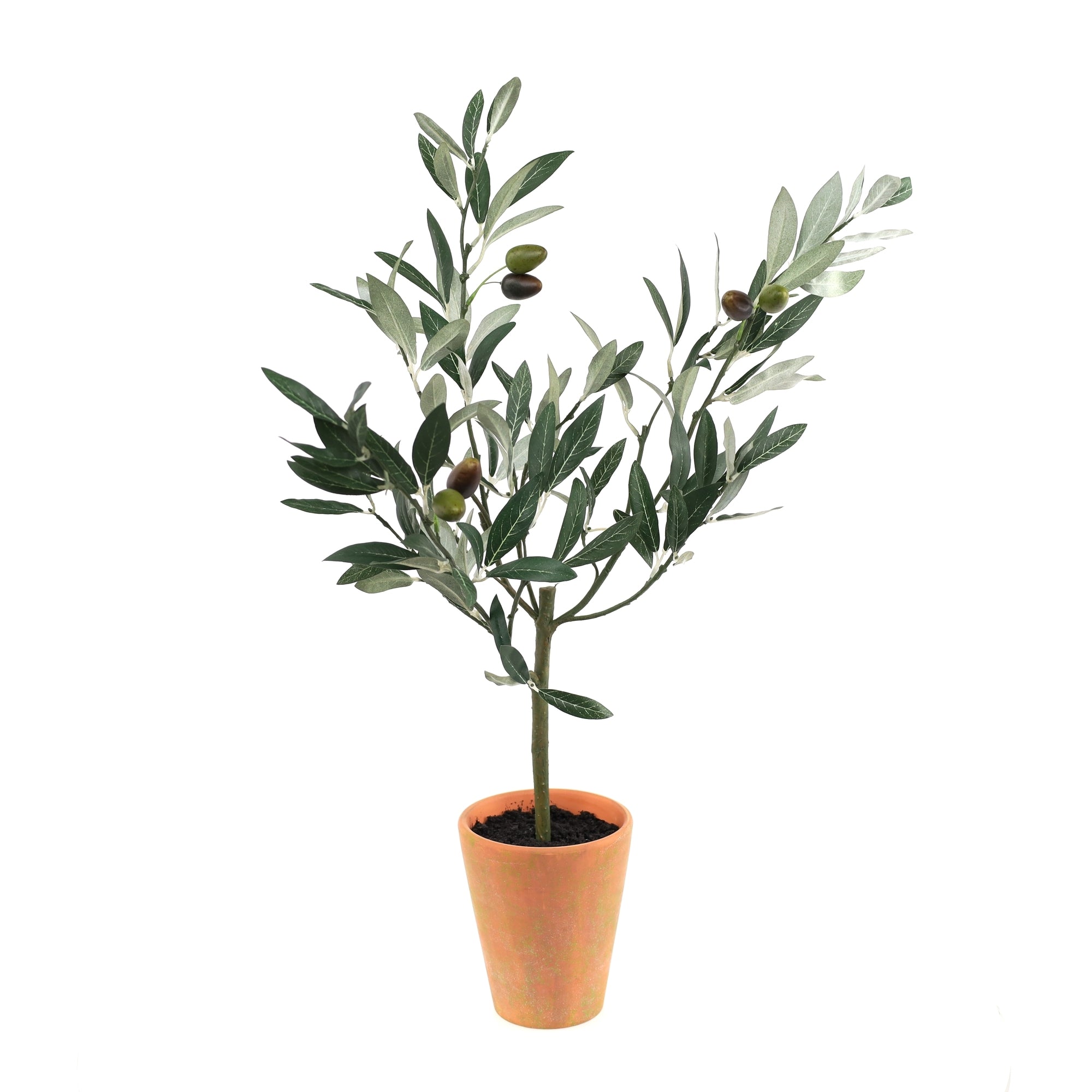 Potted Olive Tree Topiary 22"H SpadezStore
