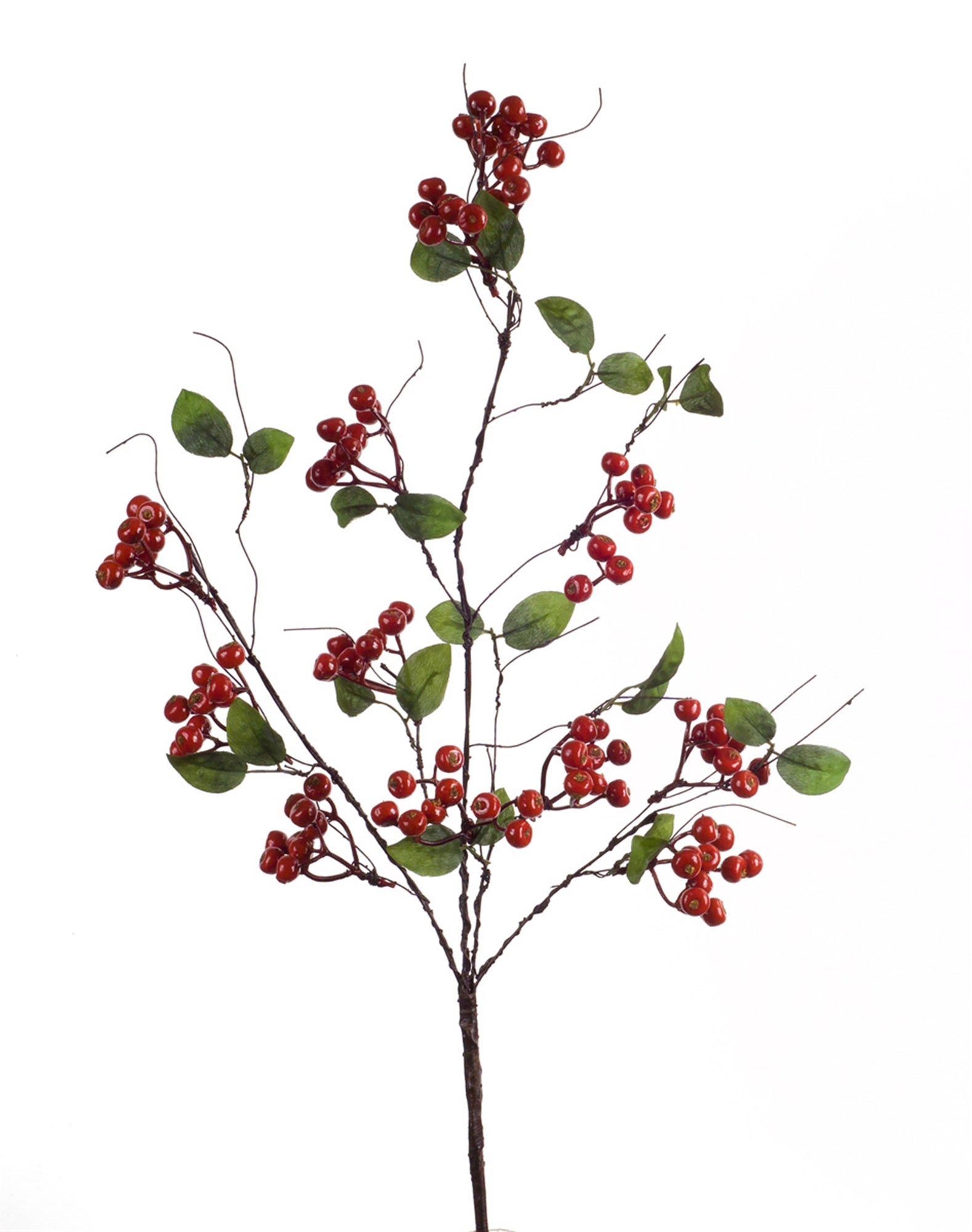 SpadezStore Boxwood Berry Twig Spray