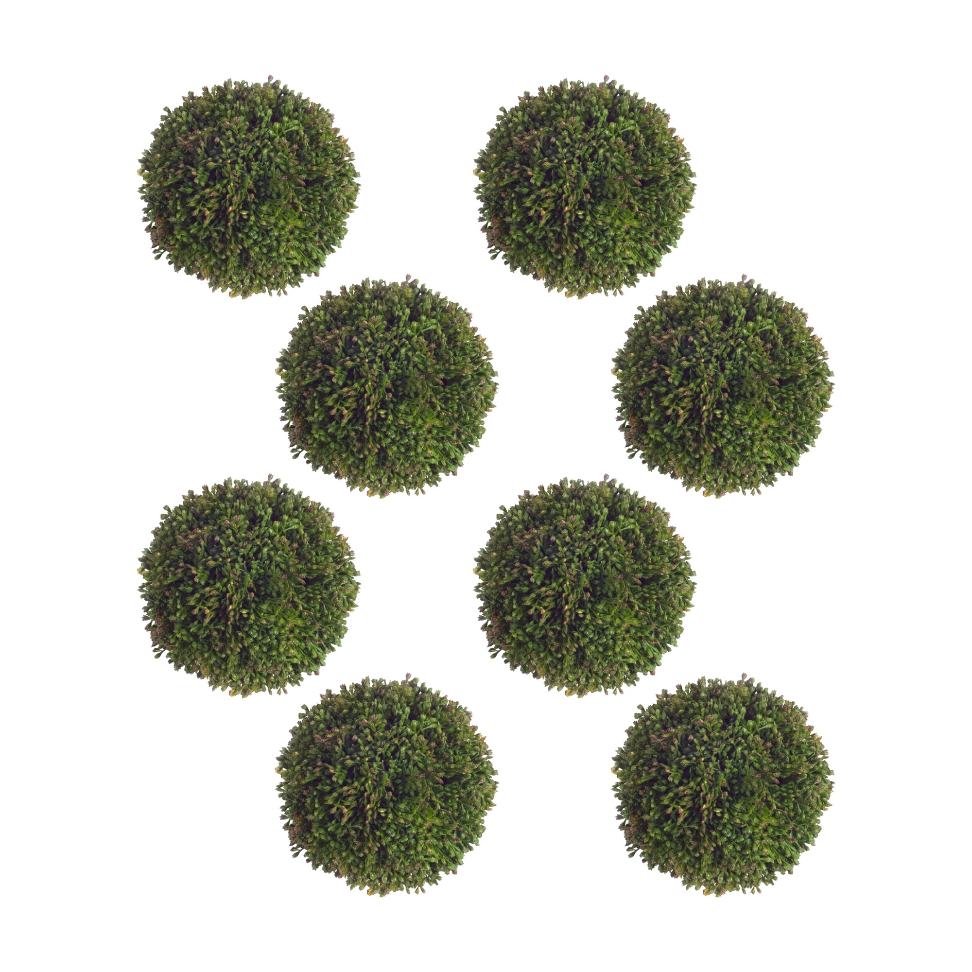 Boxwood Sedum Orb Set of 8