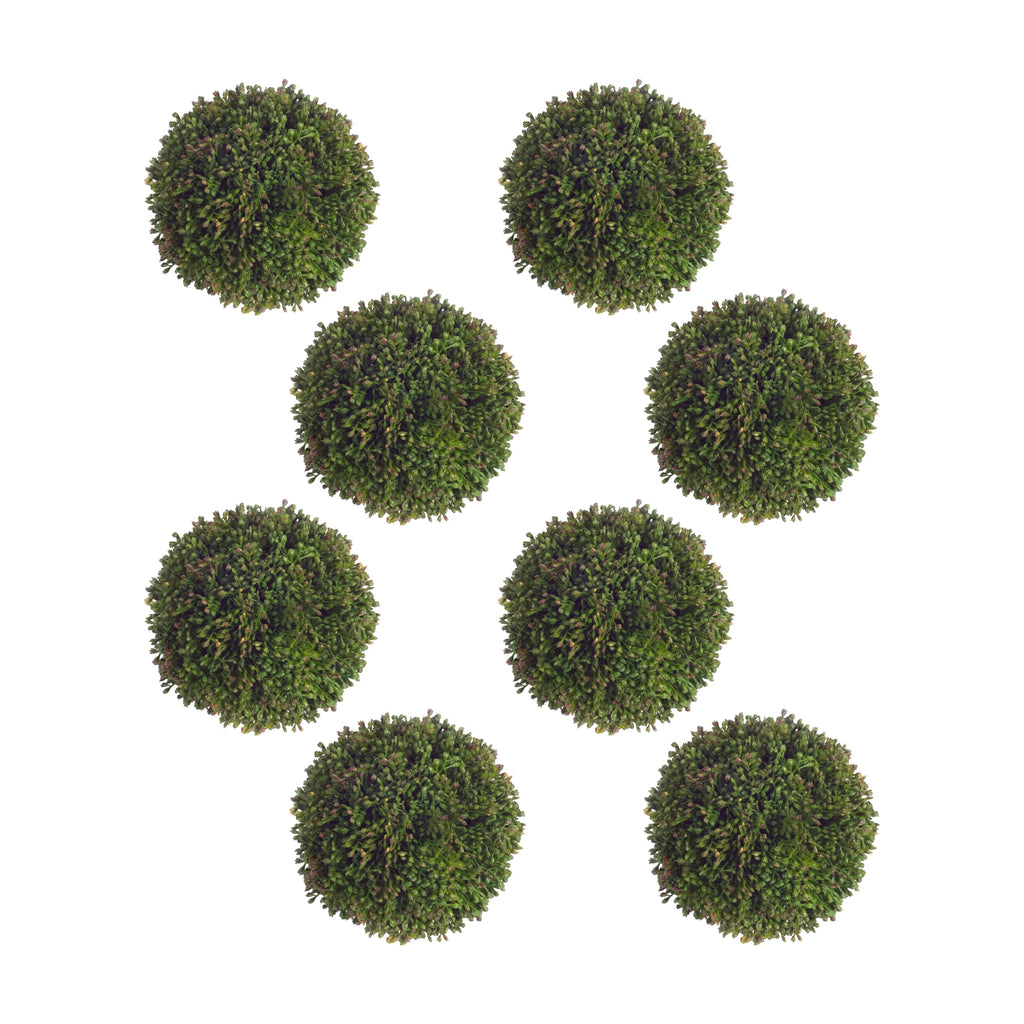 Boxwood Sedum Orb Set of 8 SpadezStore