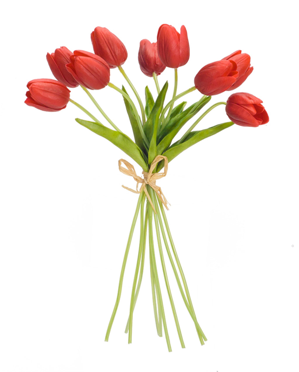 Spring Red Tulip Bundle Set of 6 SpadezStore