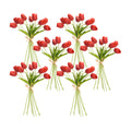 Spring Red Tulip Bundle Set of 6 SpadezStore