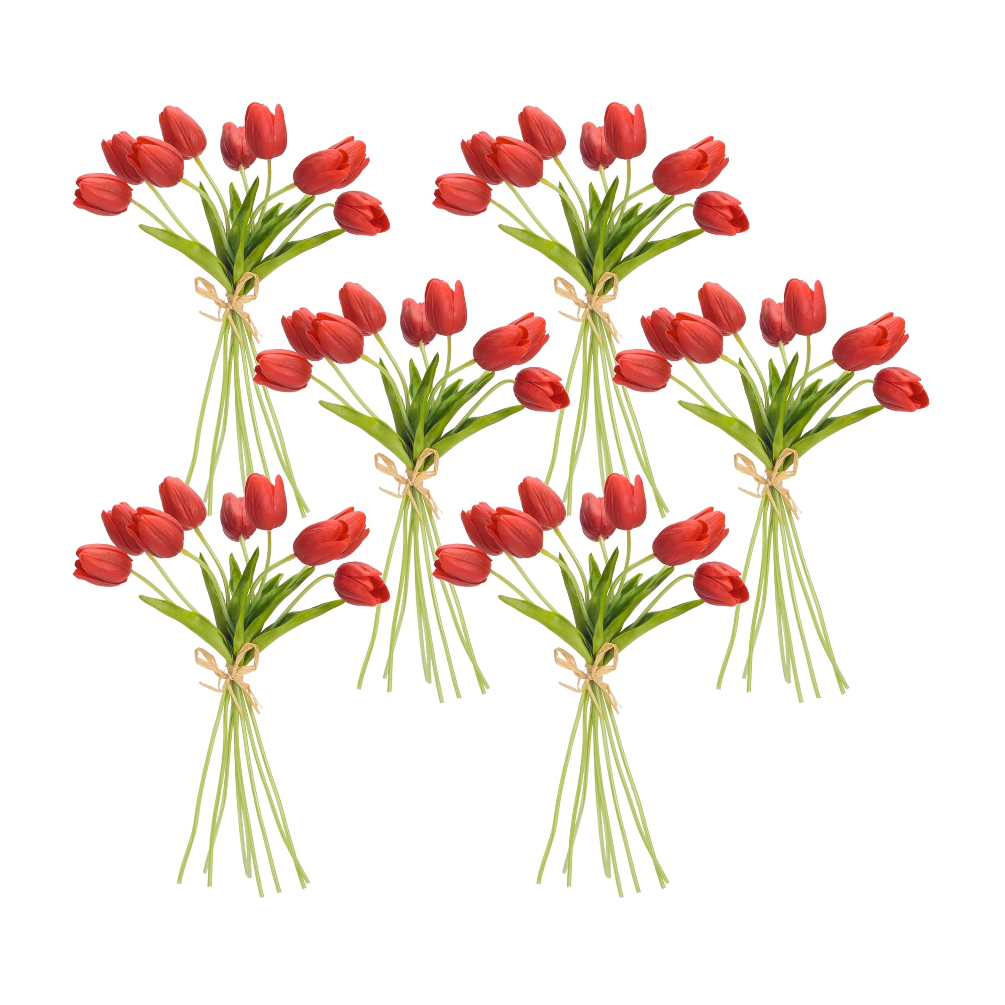 Spring Red Tulip Bundle Set of 6 SpadezStore