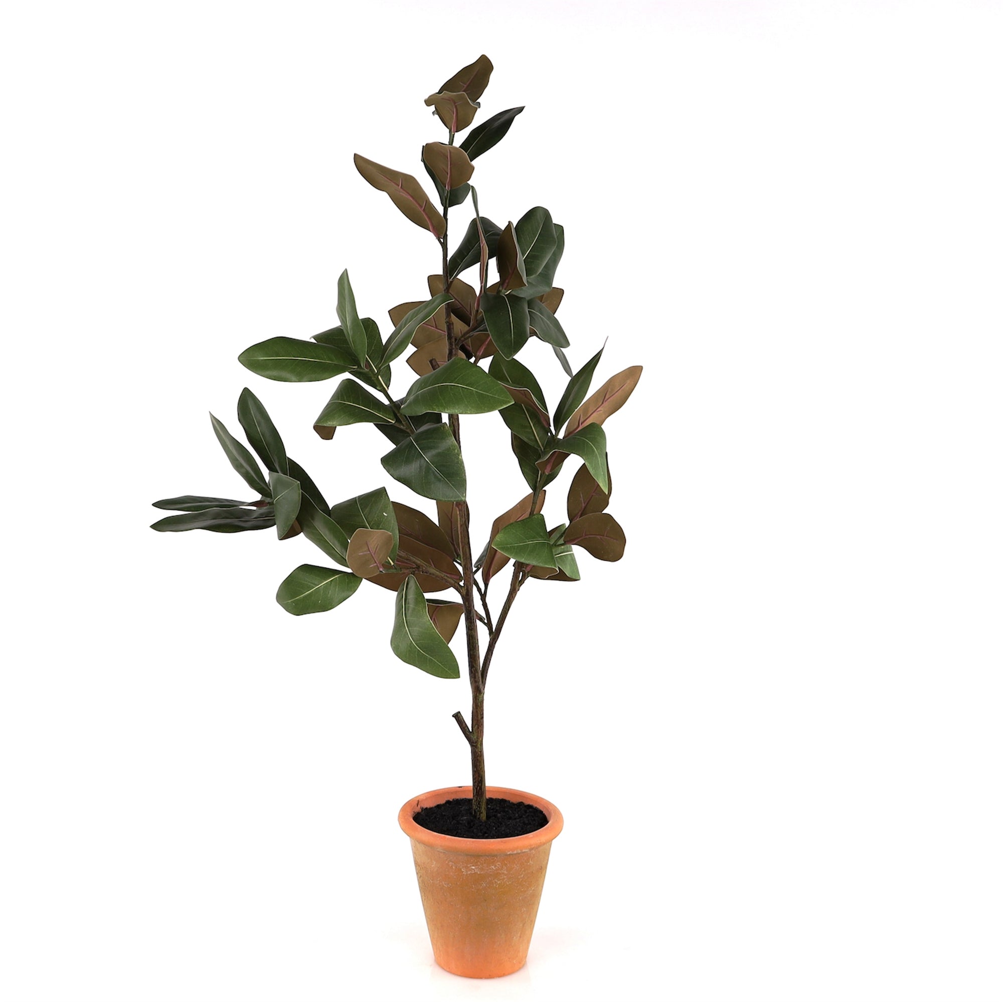 SpadezStore Magnolia Tree Topiary