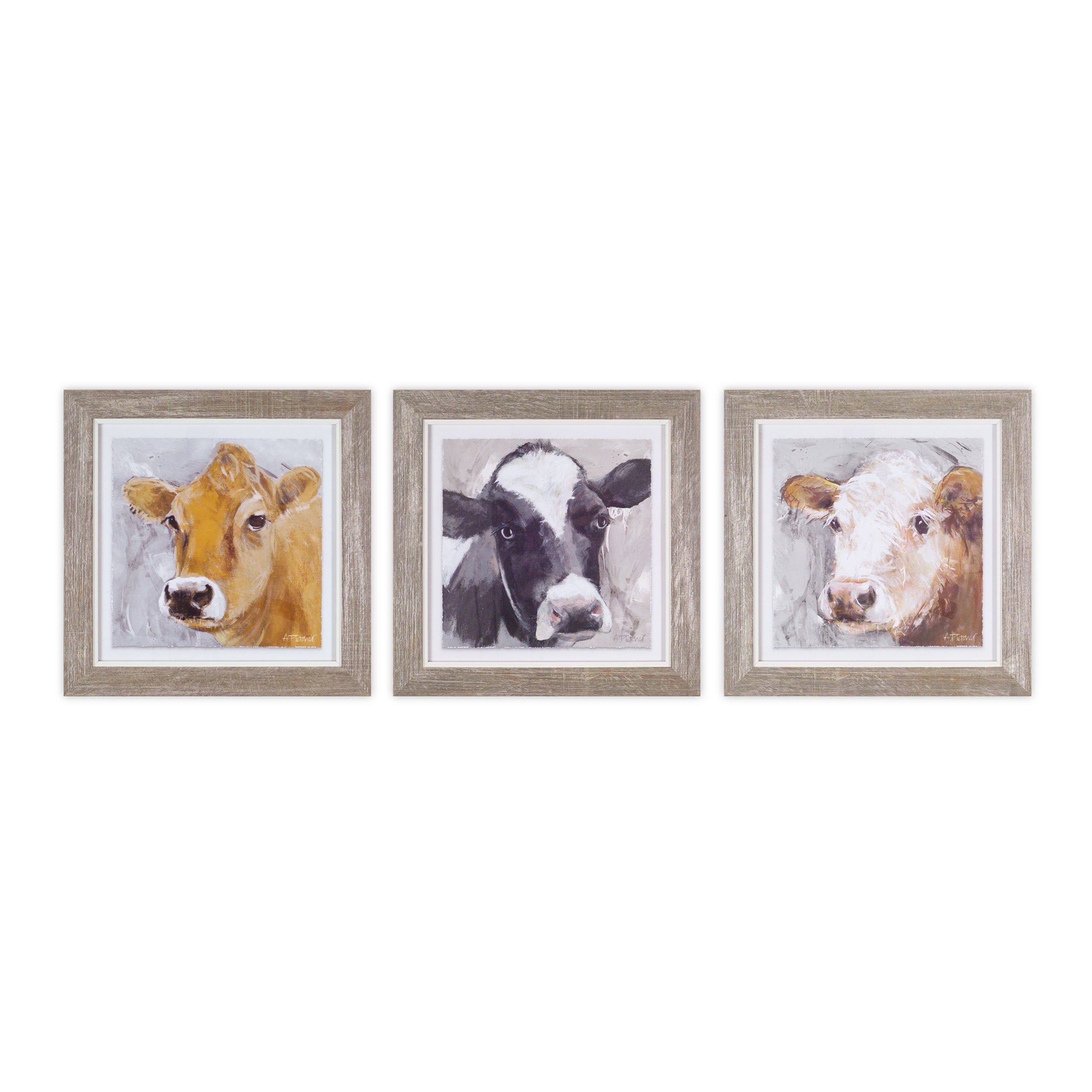 Wood Framed Cow Print Under Glass (Set of 3)