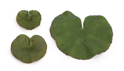 Assorted Bag of Leaves Filler Set of 12 SpadezStore