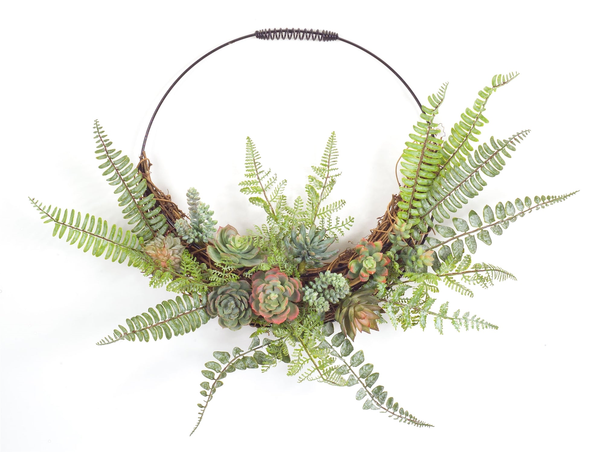 Fern and Succulent Moss Half Werath 20"D SpadezStore