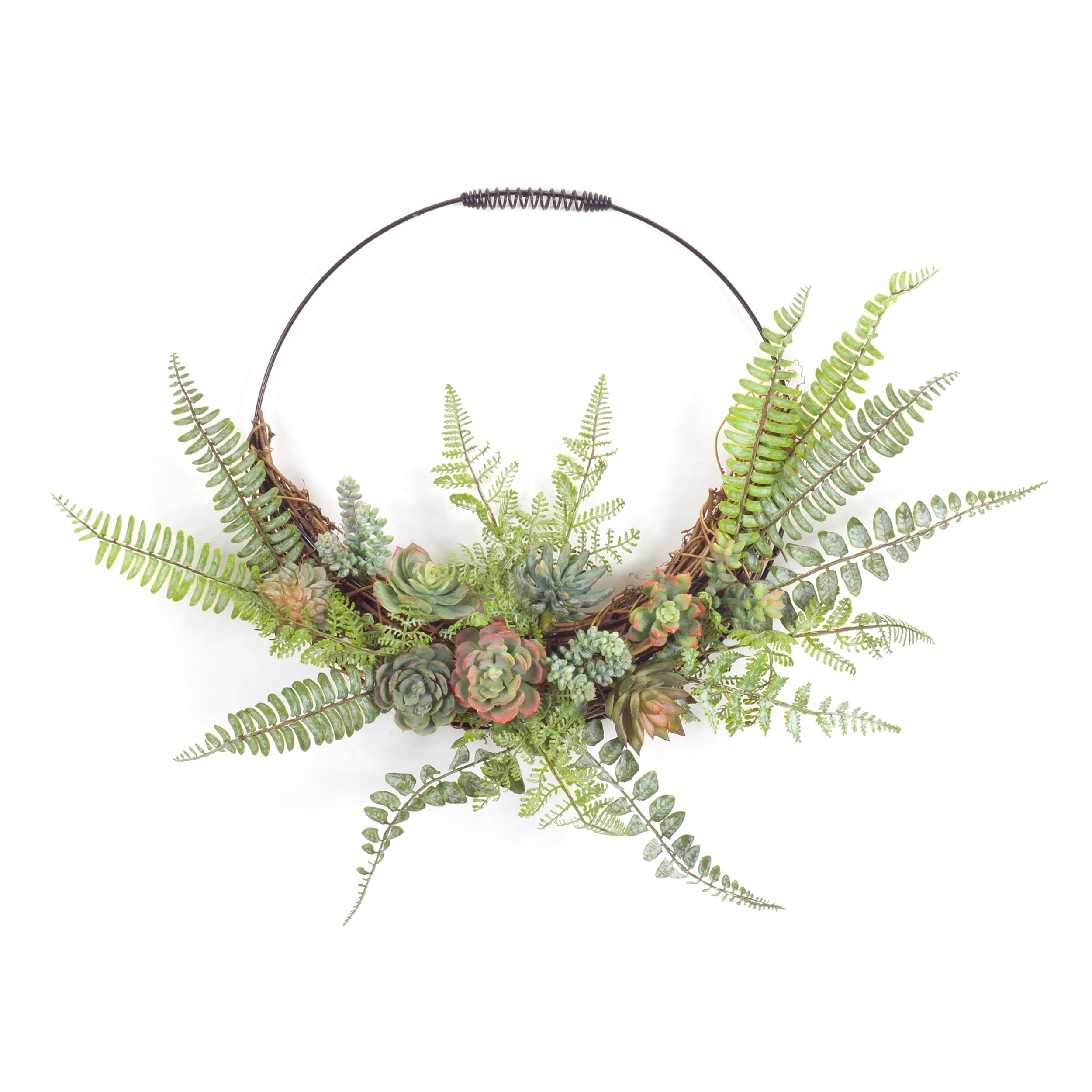 Fern and Succulent Moss Half Werath 20"D SpadezStore
