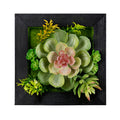 Hanging Succulent Box Wall Decor Set of 6 SpadezStore