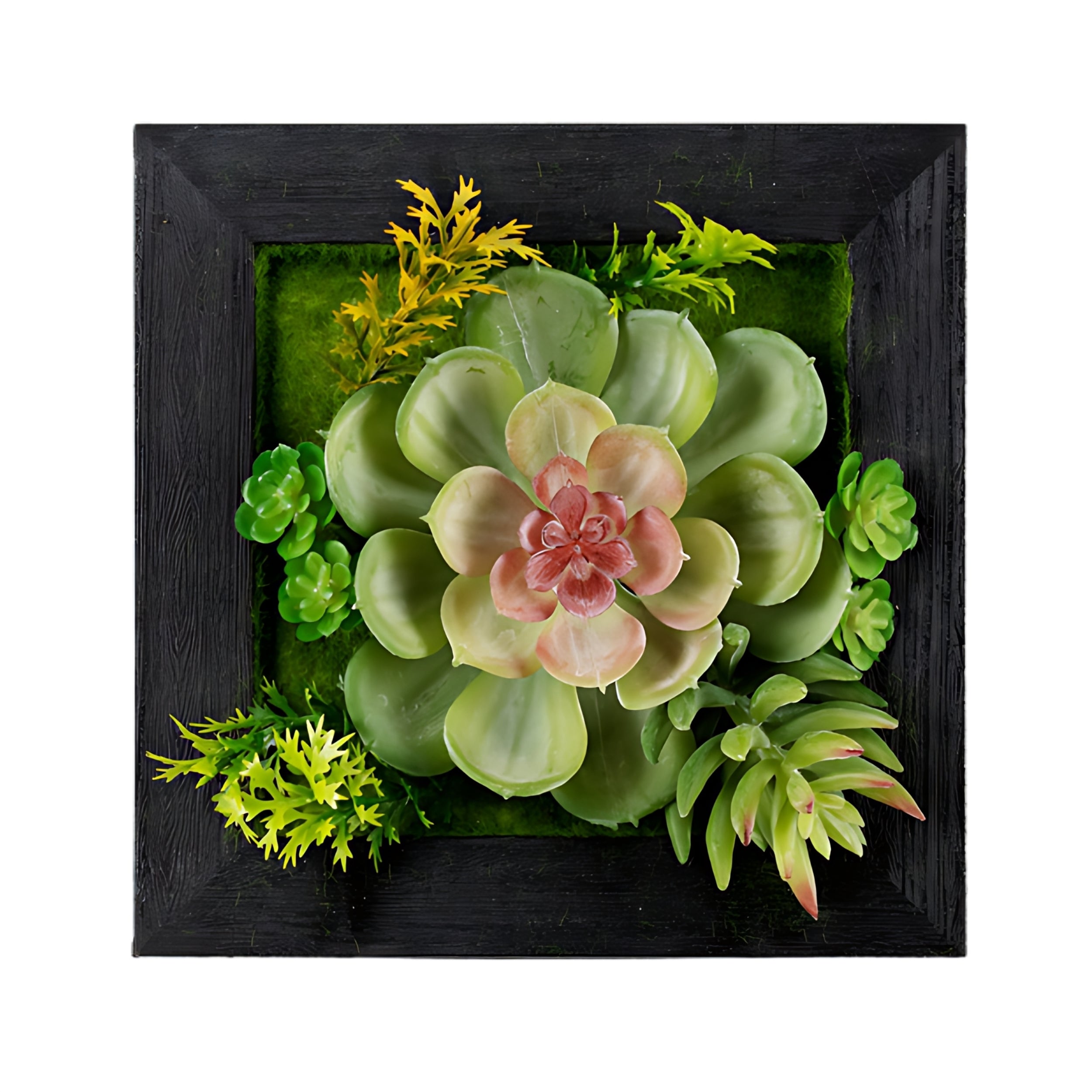 Hanging Succulent Box Wall Decor Set of 6 SpadezStore