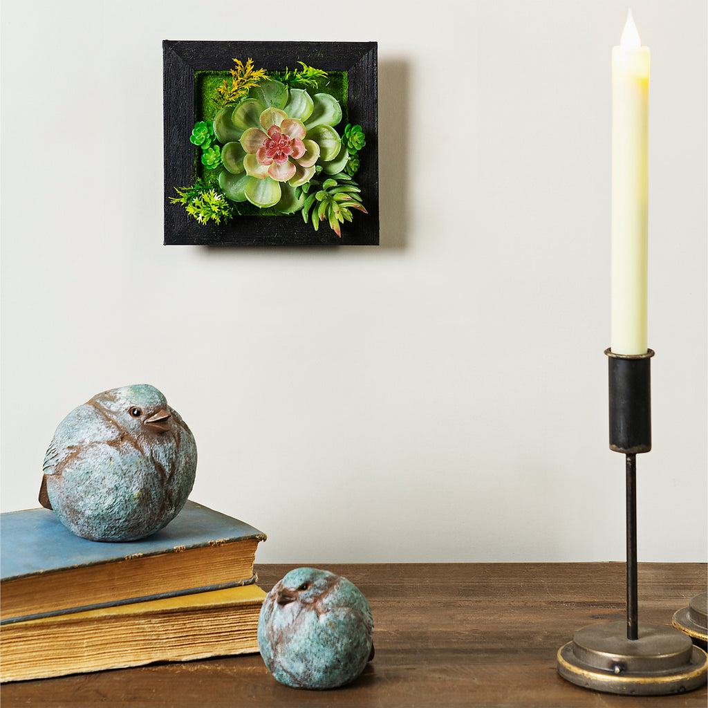 Hanging Succulent Box Wall Decor Set of 6 SpadezStore