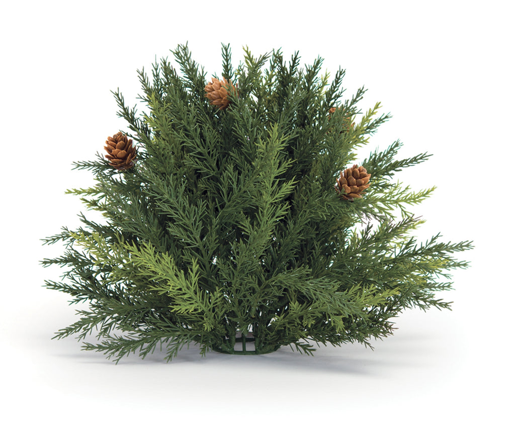 Arborvitae Half Orb 8.5"D SpadezStore
