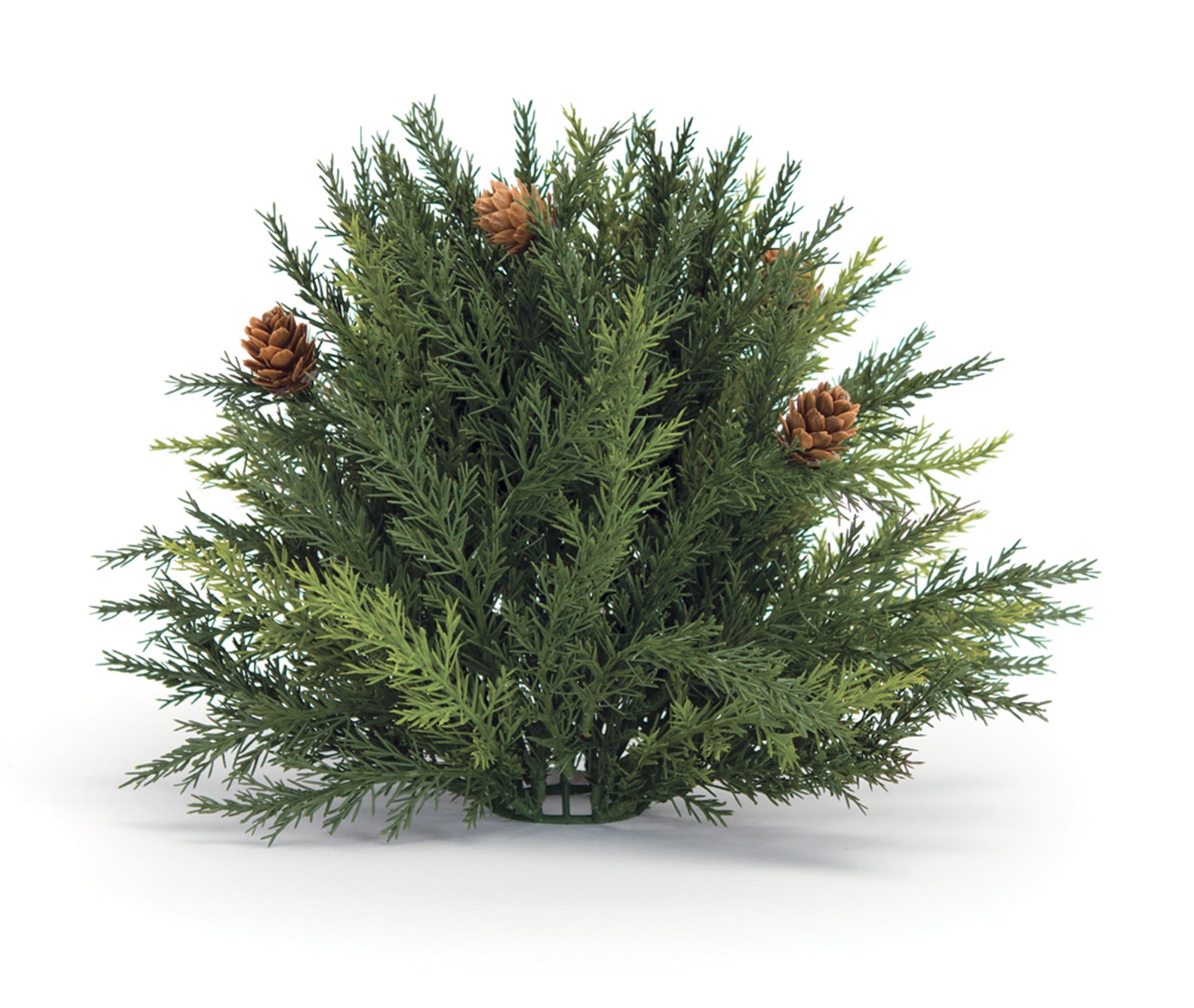 Arborvitae Half Orb 8.5"D SpadezStore