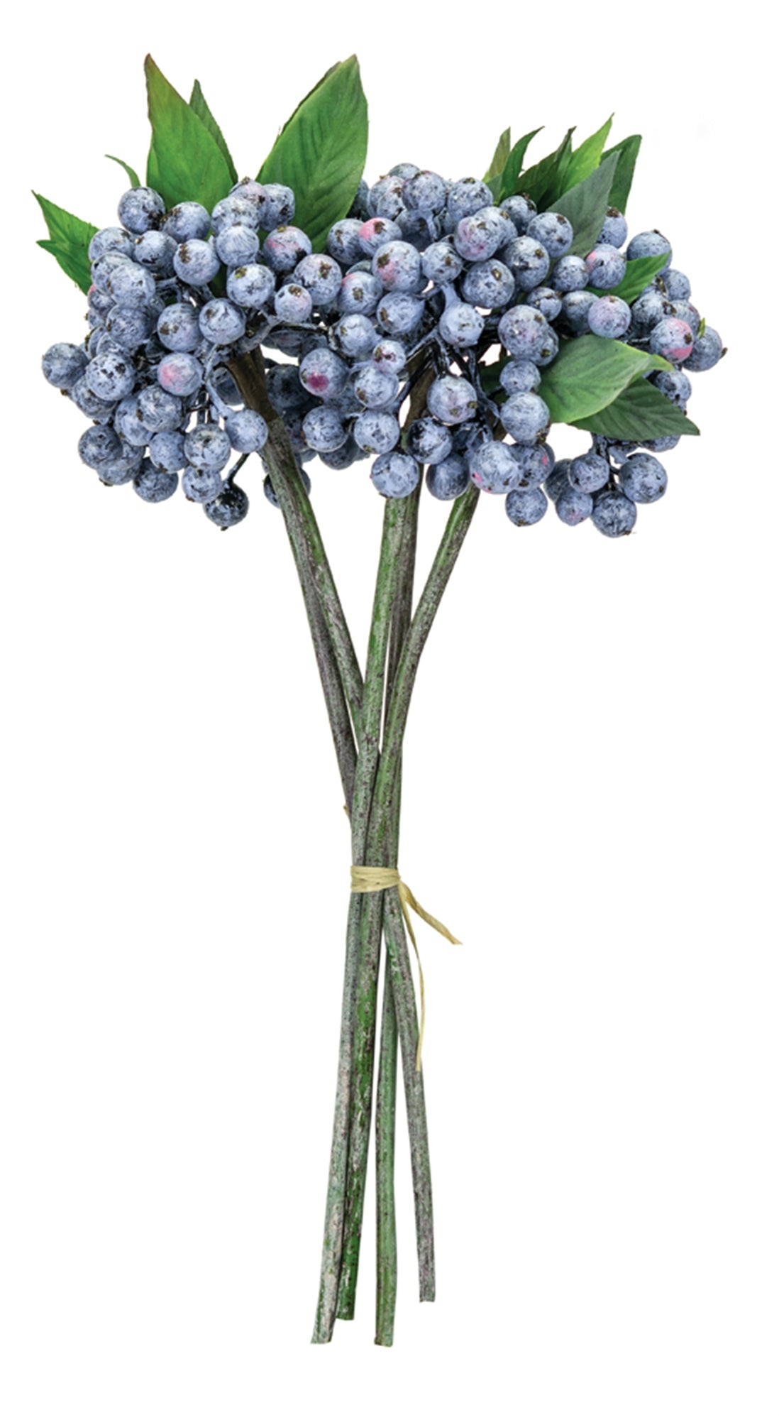 Blue Berry Foliage Bundle Set of 12 SpadezStore