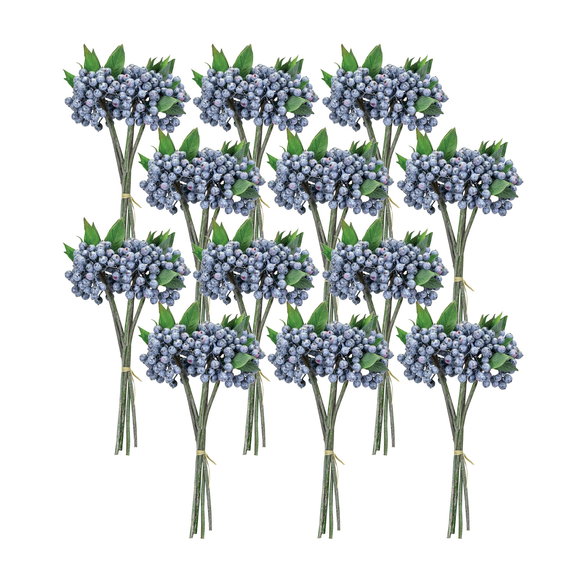 Blue Berry Foliage Bundle Set of 12 SpadezStore