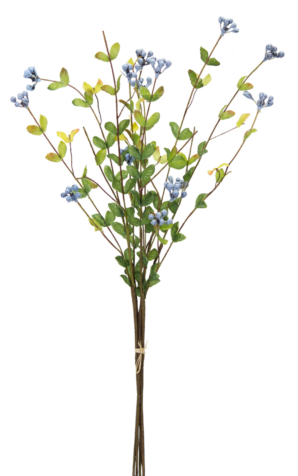 Blue Berry Foliage Spray Set of 12 SpadezStore