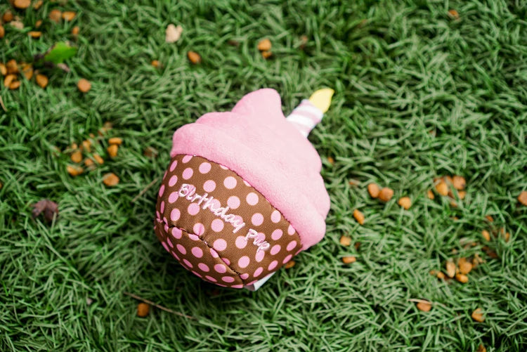 The Worthy Dog Birthday Pup Toy