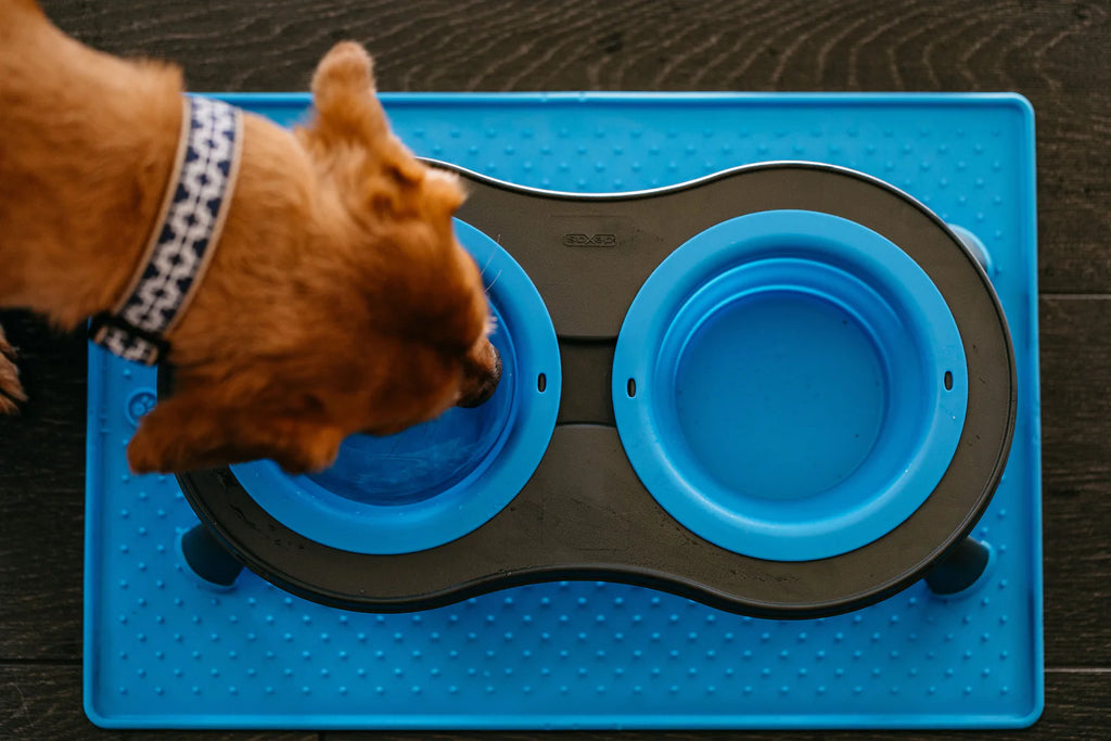 Large Collapsible Pet Feeder by Dexas - Double Feeder SpadezStore